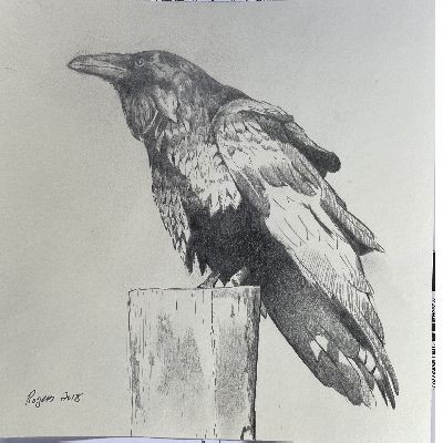 Pen and Pencil drawing of a Raven