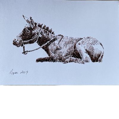 Reclining Donkey, sepia ink drawing